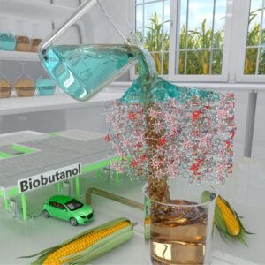 Saturated Acyclic Hydrocarbons